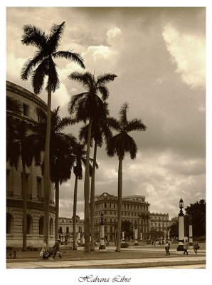habana libre.jpg
