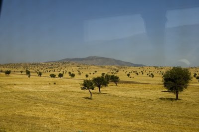 _DSC2396.jpg