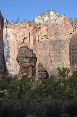 UT Zion NP 14 Pulpit.jpg