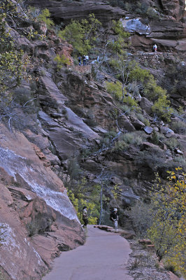 UT Zion NP 18 West Rim Trail.jpg