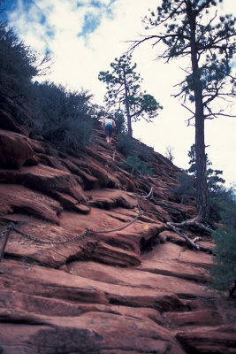 UT Zion NP 21 Angels Landing Trail.jpg
