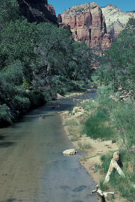 UT Zion NP 25 Virgin River Tubing.jpg