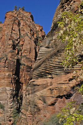 UT Zion NP 27.jpg