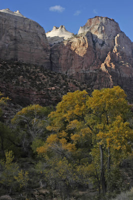 UT Zion NP 29.jpg