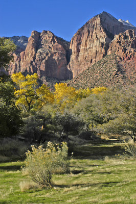 UT Zion NP 30.jpg