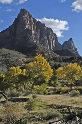 UT Zion NP 31.jpg
