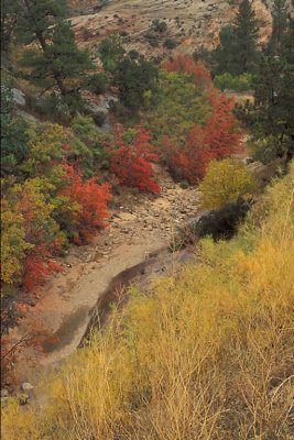 UT Zion NP 35.jpg