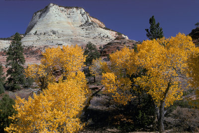 UT Zion NP 38.jpg