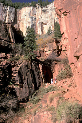 AZ Grand Canyon NP N Kaibab Trail 2.jpg