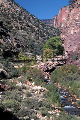 AZ Grand Canyon NP N Kaibab Trail 4.jpg