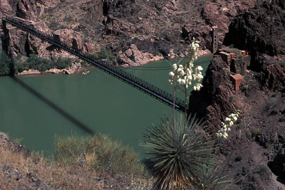 AZ Grand Canyon NP S Kaibab Trail 6 Upper Foot Susp Bridge Colorado River.jpg
