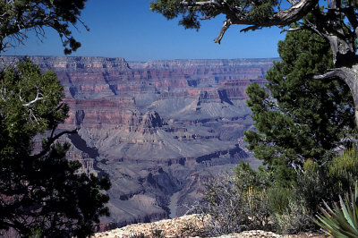 AZ Grand Canyon NP S Rim 03.jpg