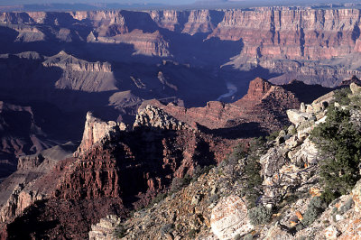 AZ Grand Canyon NP S Rim 06.jpg