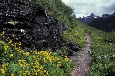 MT Glacier NP 080 Iceberg Lake Trail.jpg