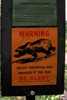 MT Glacier NP 122 Cracker Lake Trail.jpg