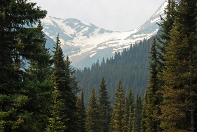 MT Glacier NP 155 Jackson Glacier from St Mary Lake Overlook.jpg