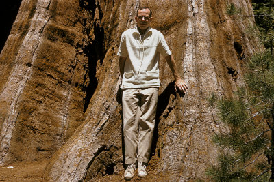 CA Yosemite NP 05 Giant Sequoia y1960 Scott.jpg