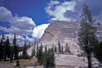 CA Yosemite NP 28 Tuolumne Lempert Dome.jpg
