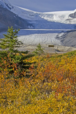 AB Banff NP Athabasca Glacier 8.jpg