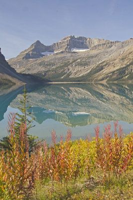 AB Banff NP Bow Lake 4.jpg
