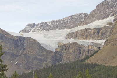 AB Banff NP Crowfoot Glacier 4.jpg