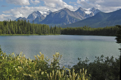 AB Banff NP Herbert Lake 1.jpg