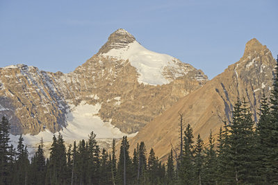 AB Banff NP Mt Athabasca.jpg