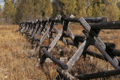 WY Grand Teton NP 61 Buck & Rail Fence.jpg