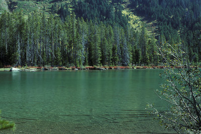 WY Grand Teton NP 71 Jenny Lake.jpg