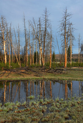 WY Yellowstone NP 010d Canyon Jct Pond.jpg