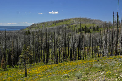 WY Yellowstone NP 010e Lake Yellowstone.jpg