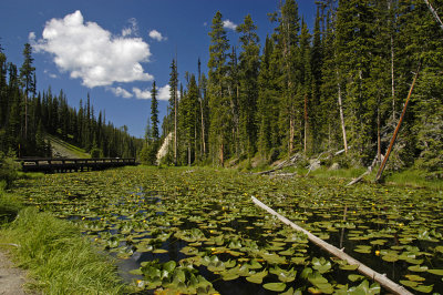 WY Yellowstone NP 080 Isa Lake at Continental Divide.jpg