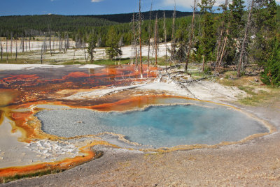 WY Yellowstone NP 450 Firehole Lake Loop, Firehole Spring.jpg