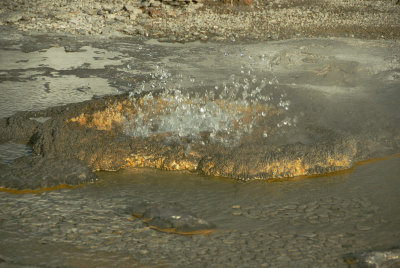 WY Yellowstone NP 600e Upper Geyser Basin, Aurum Geyser.jpg