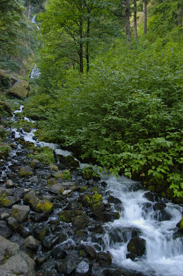 OR Columbia River Gorge NSA 2b Wahkeena Falls.jpg