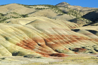 OR John Day Fossil Beds NM 2 Painted Hills.jpg