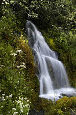 OR Mt Hood NF 4a Ephemeral Roadside Waterfall.jpg