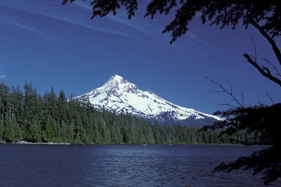 OR Mt Hood NF 6 from Lost Lake.jpg