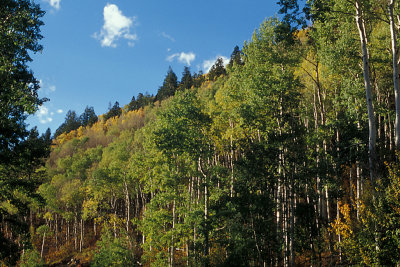 CO Crested Butte-Telluride 2.jpg