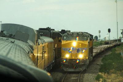 UP 844 Heritage Steam Train