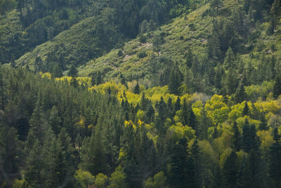 CO Le Vita Pass Rio Grande Scenic RR 6.jpg