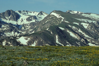 CO Rocky Mtn NP 01 Trail Ridge Rd.jpg