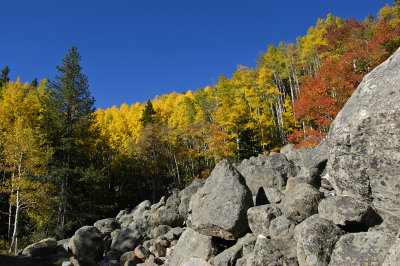 CO Rocky Mtn NP 03 Bear Lake Rd.jpg