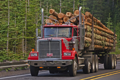 OR Mt Hood NF 1a Logging Truck.jpg