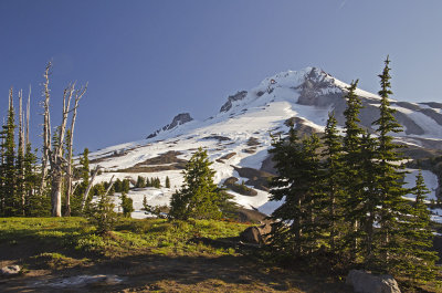 OR Mt Hood NF 3d Summit.jpg