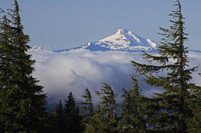 OR Mt Hood NF 5b View of Mt Jefferson.jpg