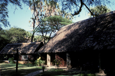 KEN 25 Samburu Lodge.jpg