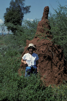 KEN 35 Termite Mound.jpg