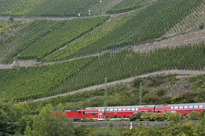 DEU 79 Middle Rhine River RR Train & Vineyard.jpg