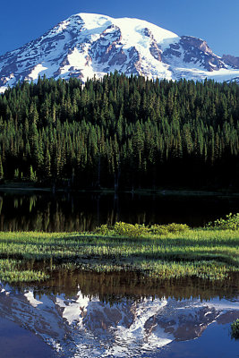 WA Mt Rainier NP 03 Reflection Lake.jpg